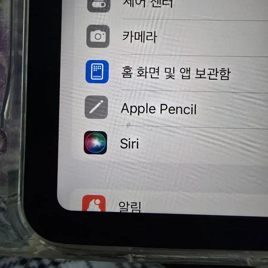 아이페드 프로11인치 1세대 256gb 셀루럴