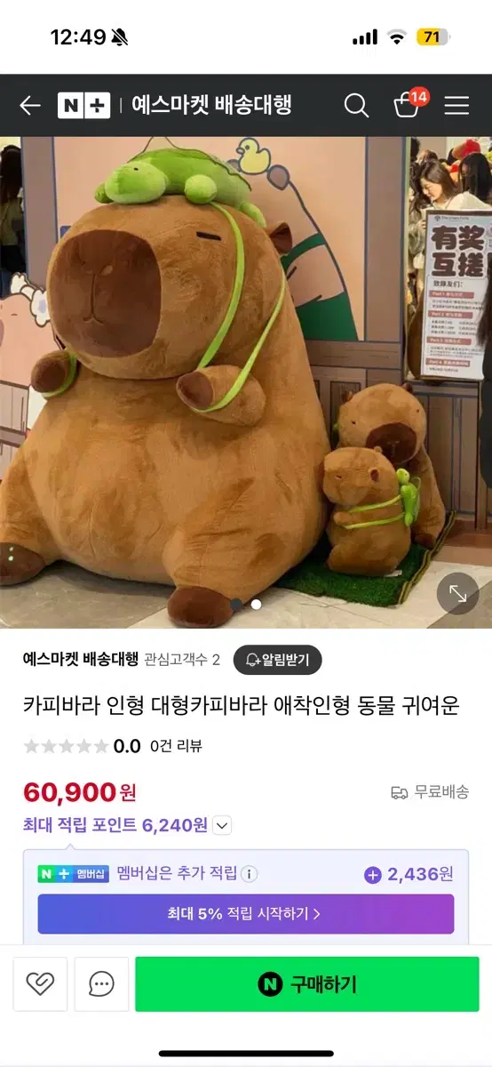 카피바라 인형