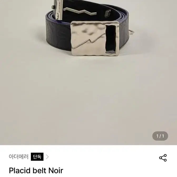 Ader error placid noir 벨트