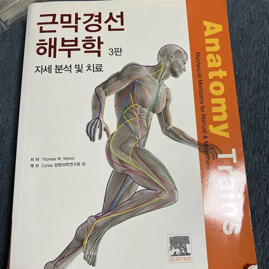 근막경선 해부학