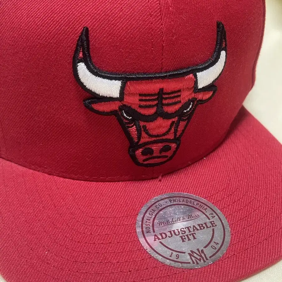 NBA 모자 (mitchell & ness)