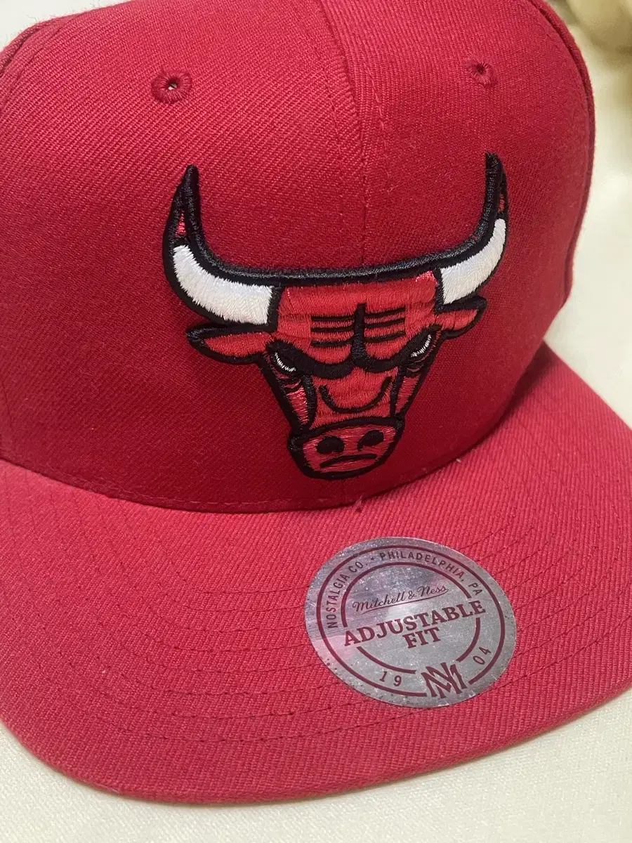 NBA 모자 (mitchell & ness)