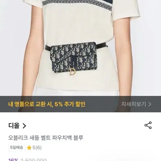 디올 오블리크 새들 벨트백