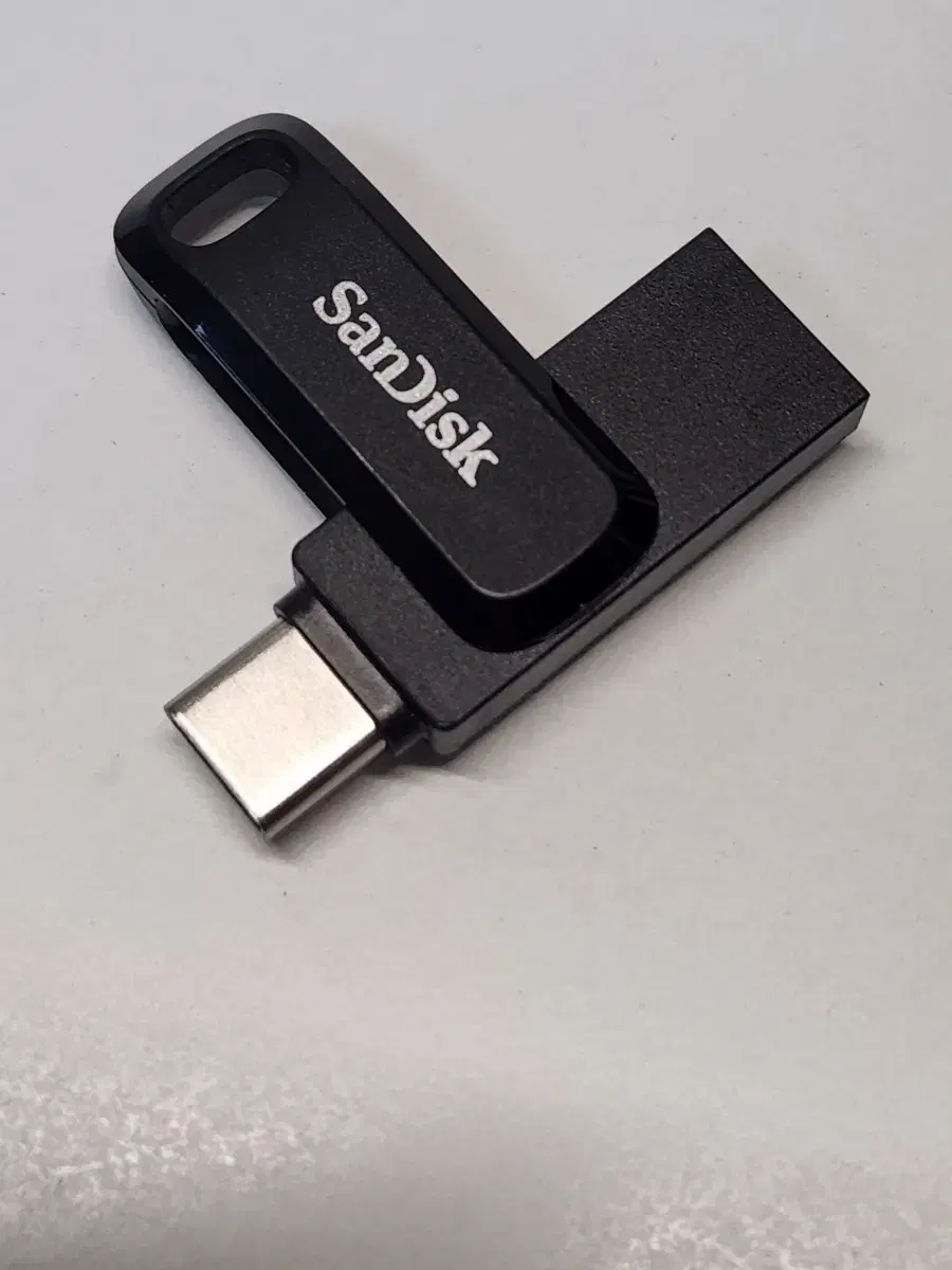 샌디스크 1TB USB (C타입도 지원)