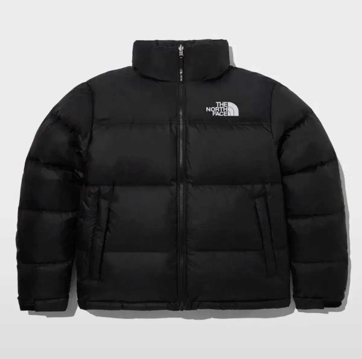 Men's 1996 Eco Nopsi Jacket