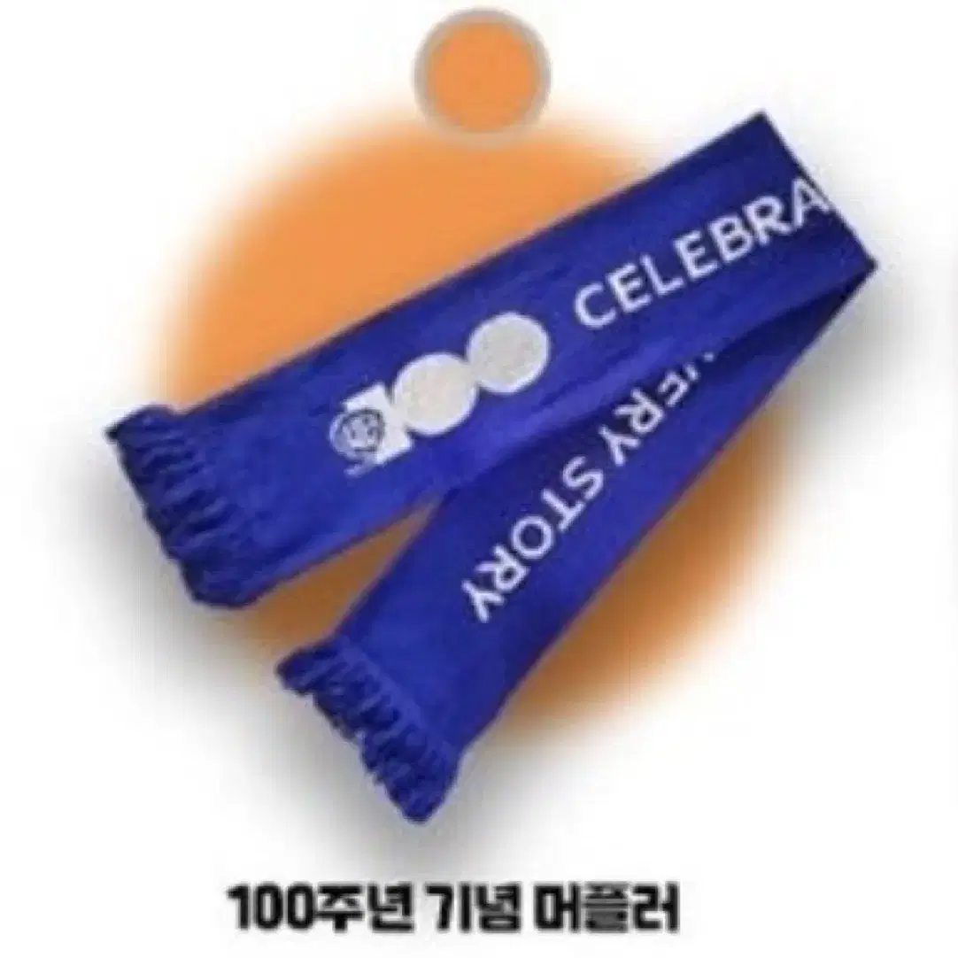 워너브라더스 100주념 기념 머플러