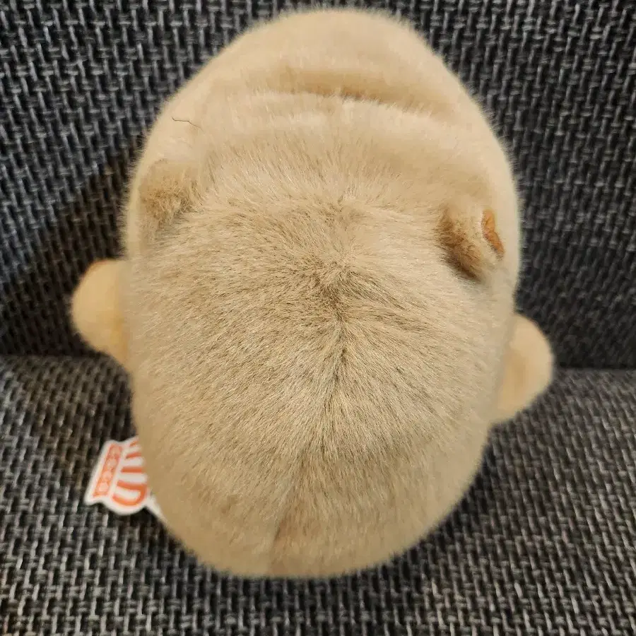 카피바라 인형 23cm