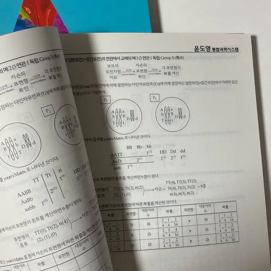 **새거, 가격인하) 윤도영 생명과학 유전 상/하 판매 (상)