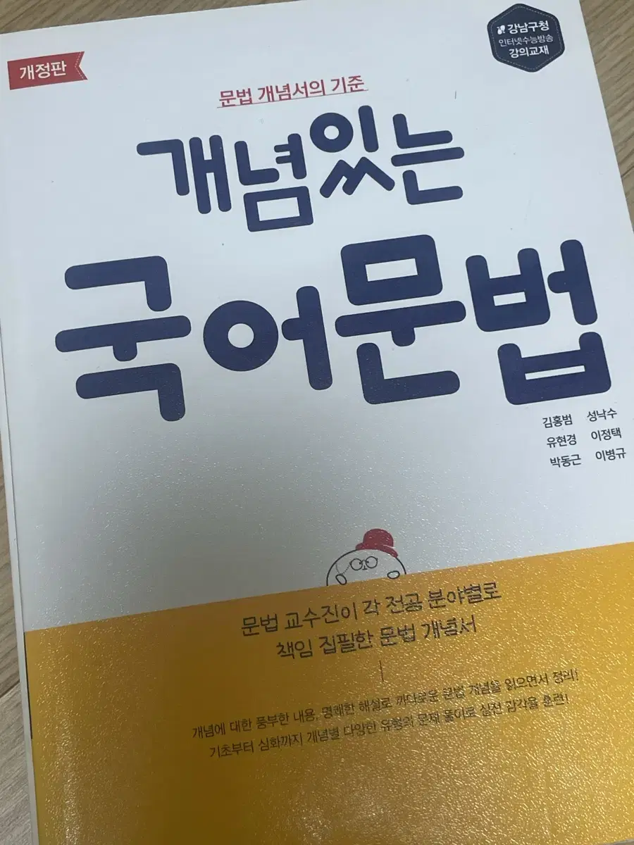 개념있는 국어 문법