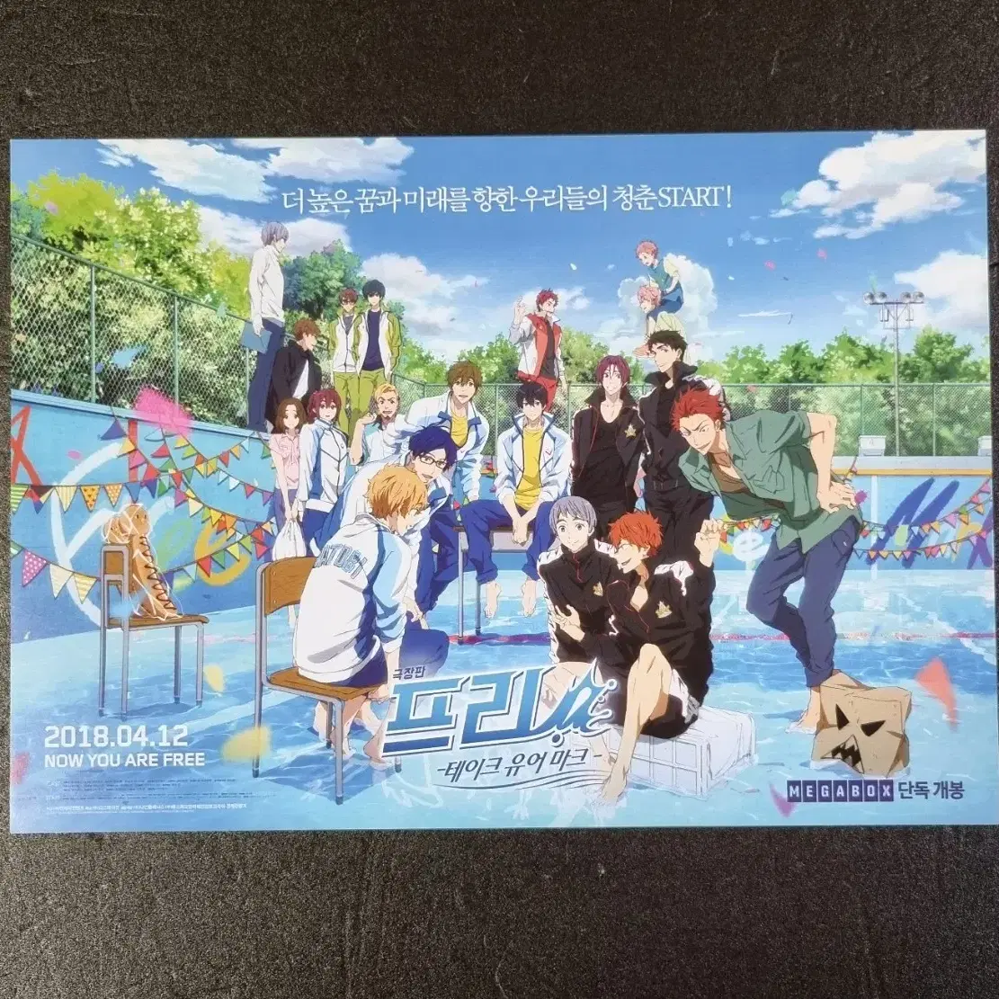 [영화팜플렛] 극장판 프리 free! 테이크유어마크 (2018)영화전단지