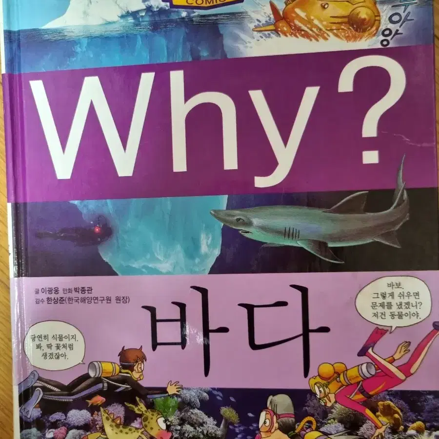 Why? 바다