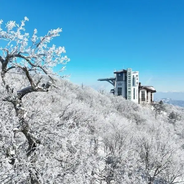 (수량 충분) 용평 발왕산 케이블카 왕복권 1.5만원