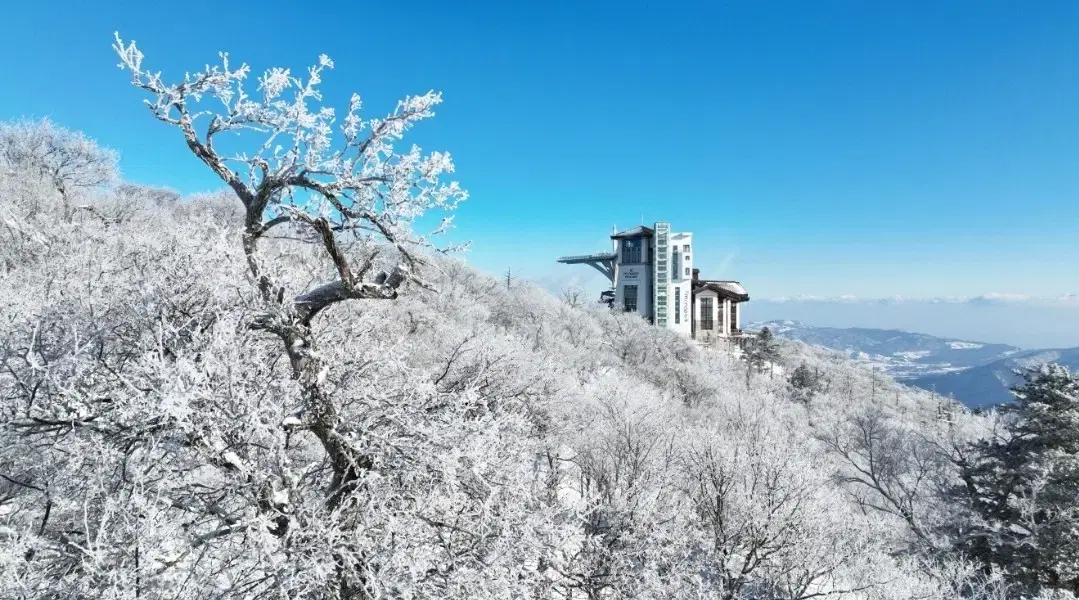 (수량 충분) 용평 발왕산 케이블카 왕복권 1.5만원