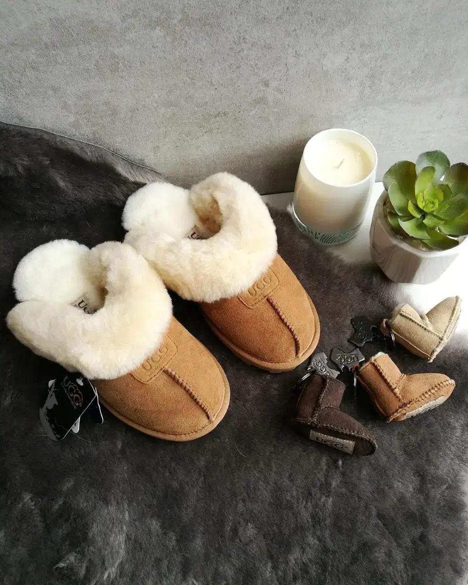 호주 어그 UGG 슬리퍼 체스트넛 색상 EU39 약 245mm