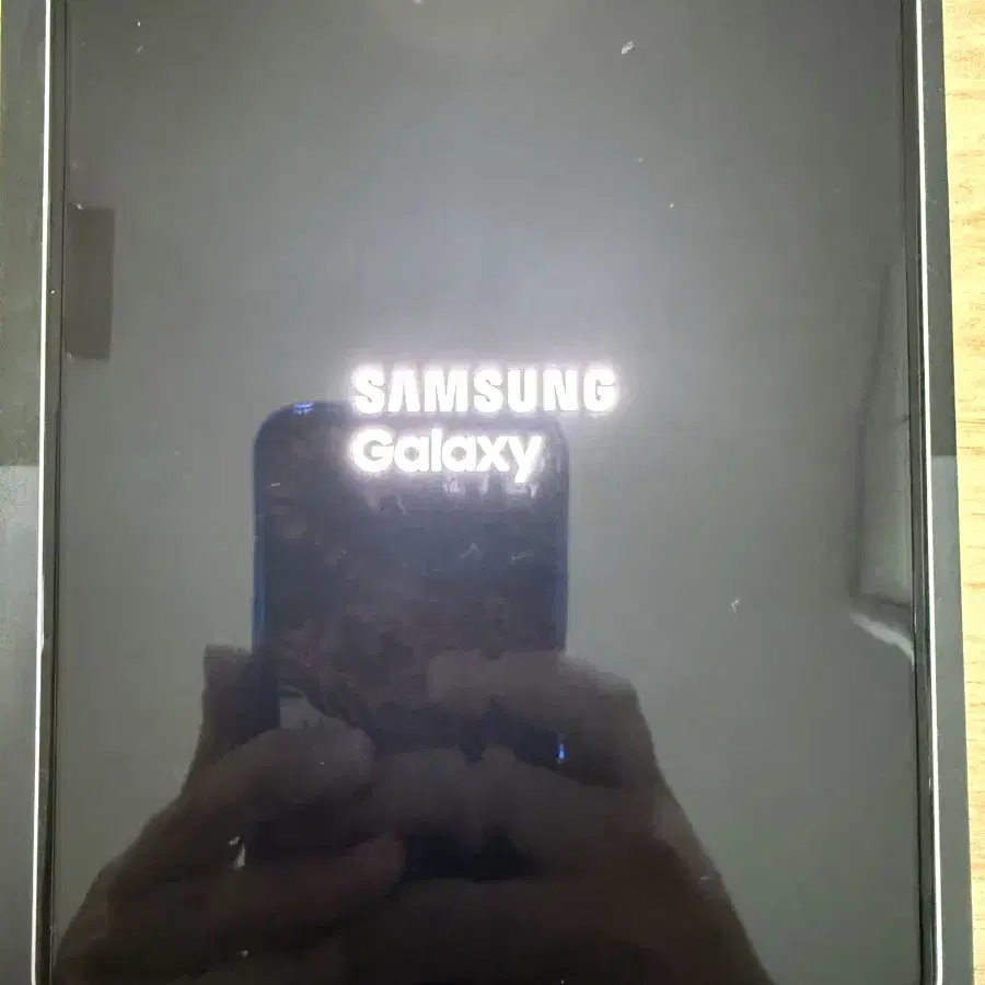 Galaxy Z Fold3  팬텀 실버 256GB