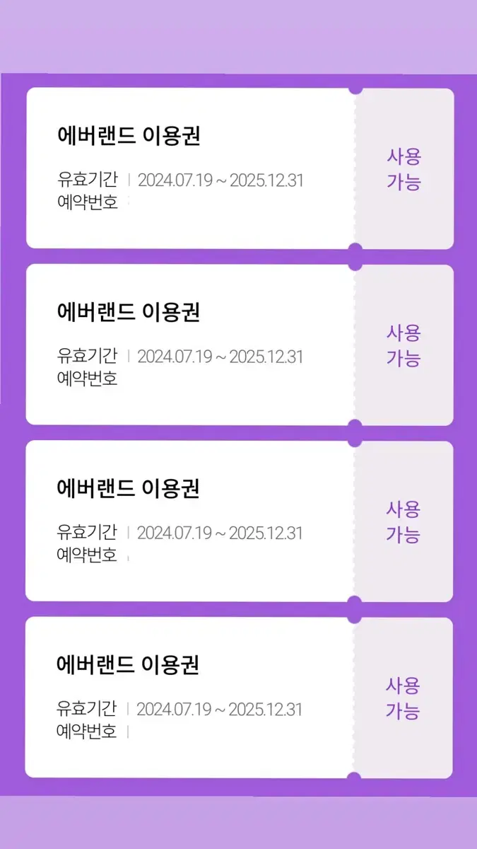 에버랜드 자유이용권 (~25.12.31)