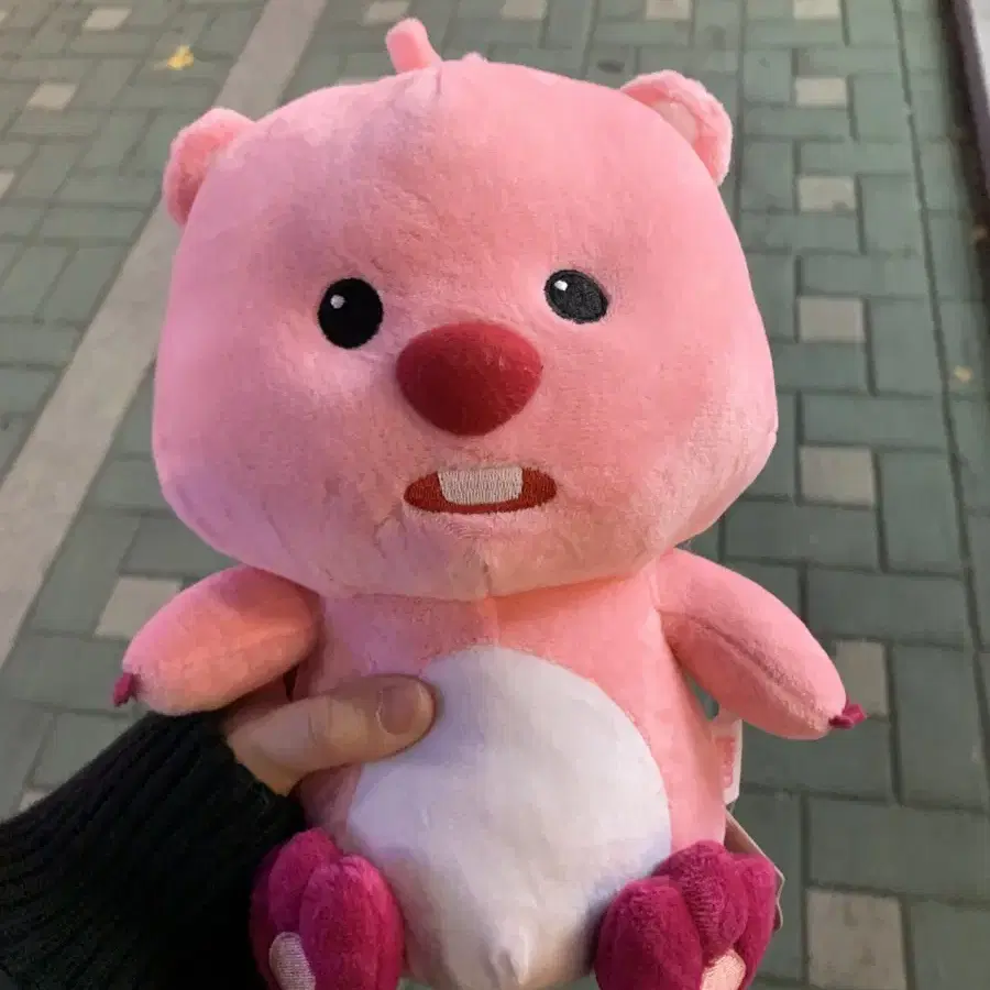 루피 인형 새상품 택있음