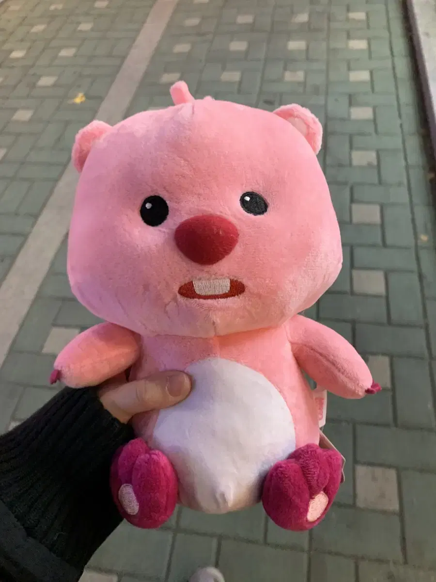 루피 인형 새상품 택있음