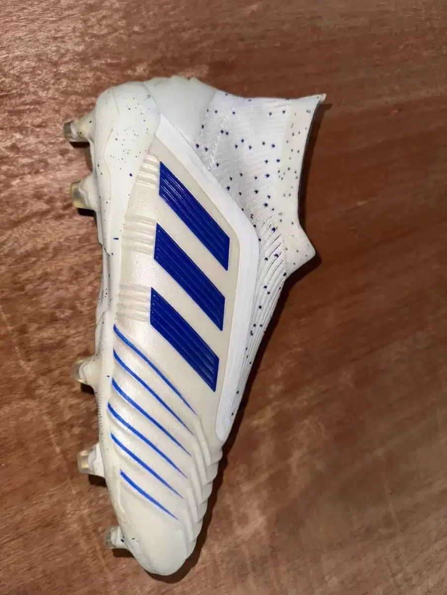 Predator 19+