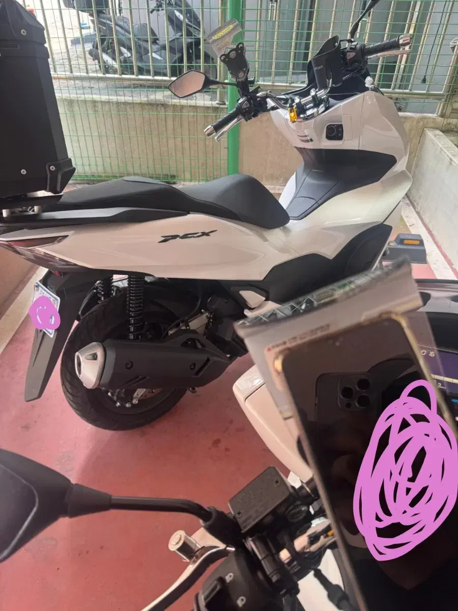 24년식 혼다 pcx125 abs