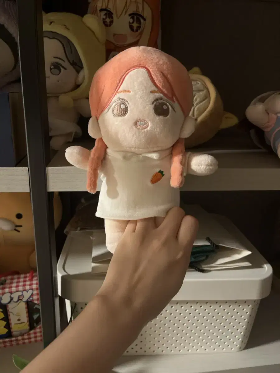 Apink Lantern Doll