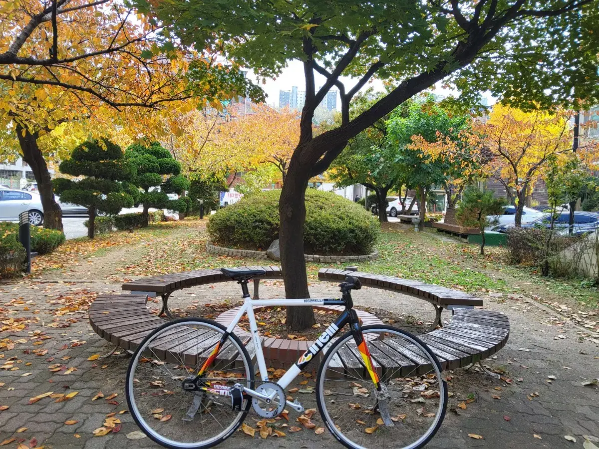 치넬리 비고렐리 크롬팀 무하자급 대차/판매 픽시