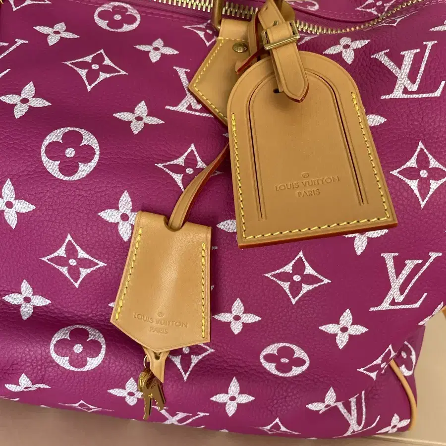 루이비통 스피디 p9 40 (Louis Vuitton Speedy p9