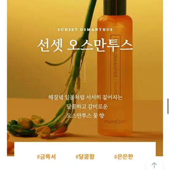 멈칫 금목서 오스만투스 헤어&바디미스트