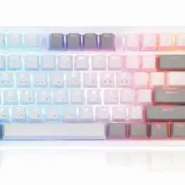 COX 콕스 엔데버 무접점50g 화이트 RGB PBT 노뿌 텐키리스