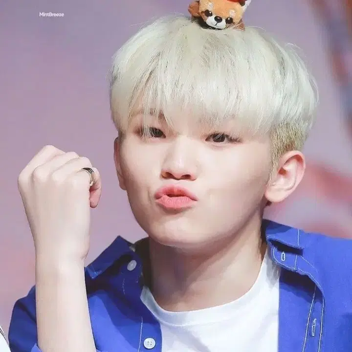 세븐틴 우지 포카