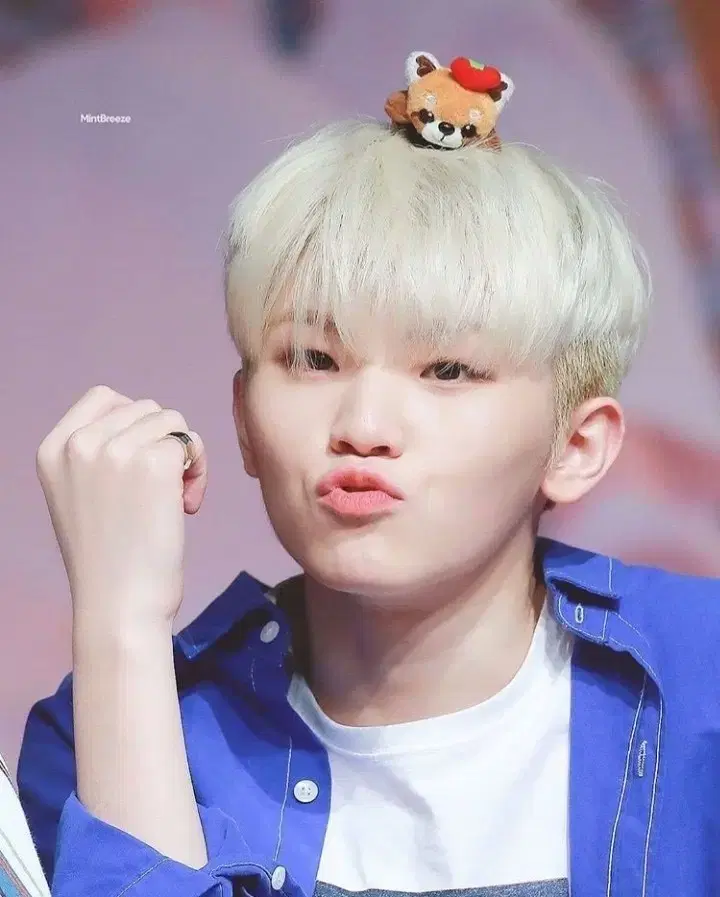 세븐틴 우지 포카