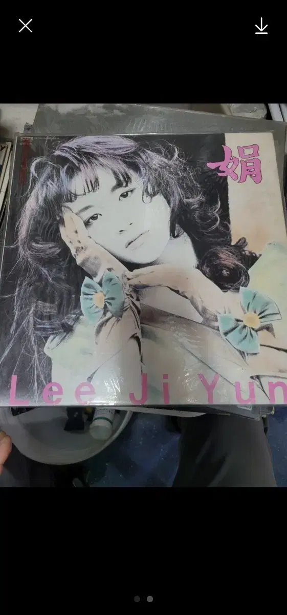 이지연 lp