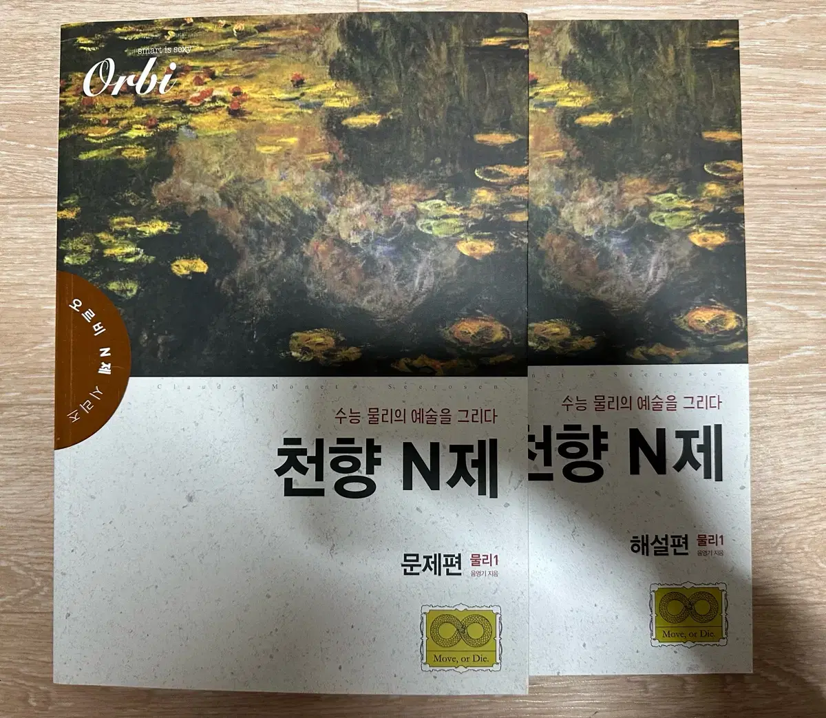 오르비 물리1(현 물리학2 돌림힘 포함) 천향 n제