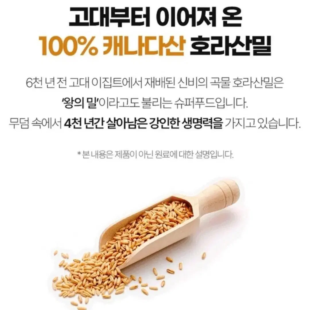 곡물효소