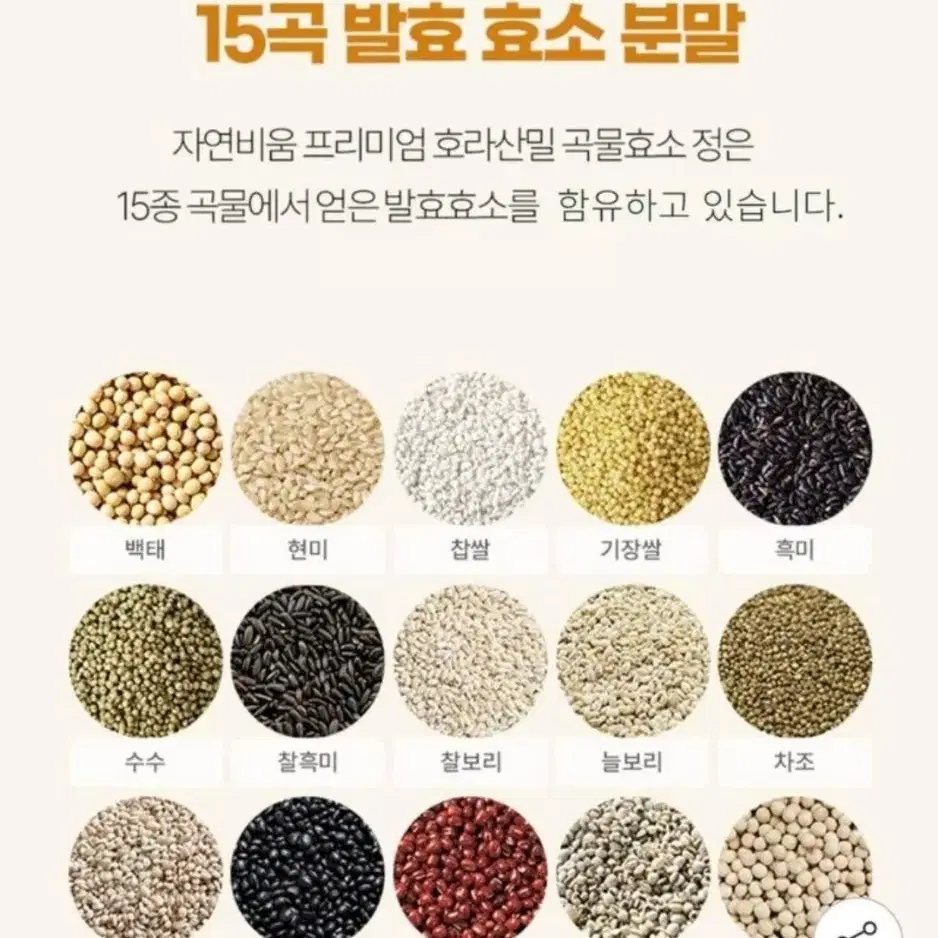 곡물효소