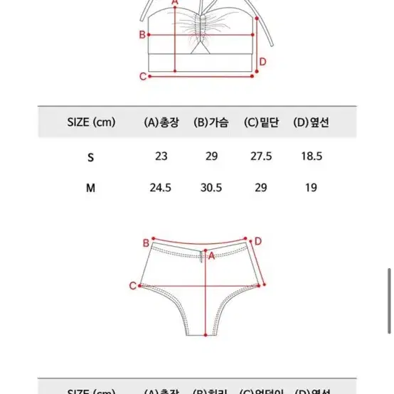 켈리스포츠 폴웨어