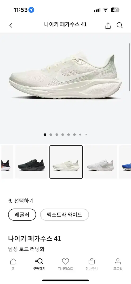 나이키 페가수스 41