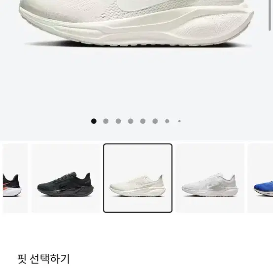 나이키 페가수스 41