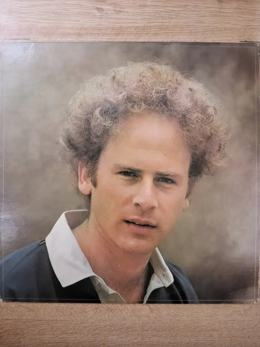 ARTHER GARFUNKEL 음반 a (LP 턴테이블 오디오 앰프 음향