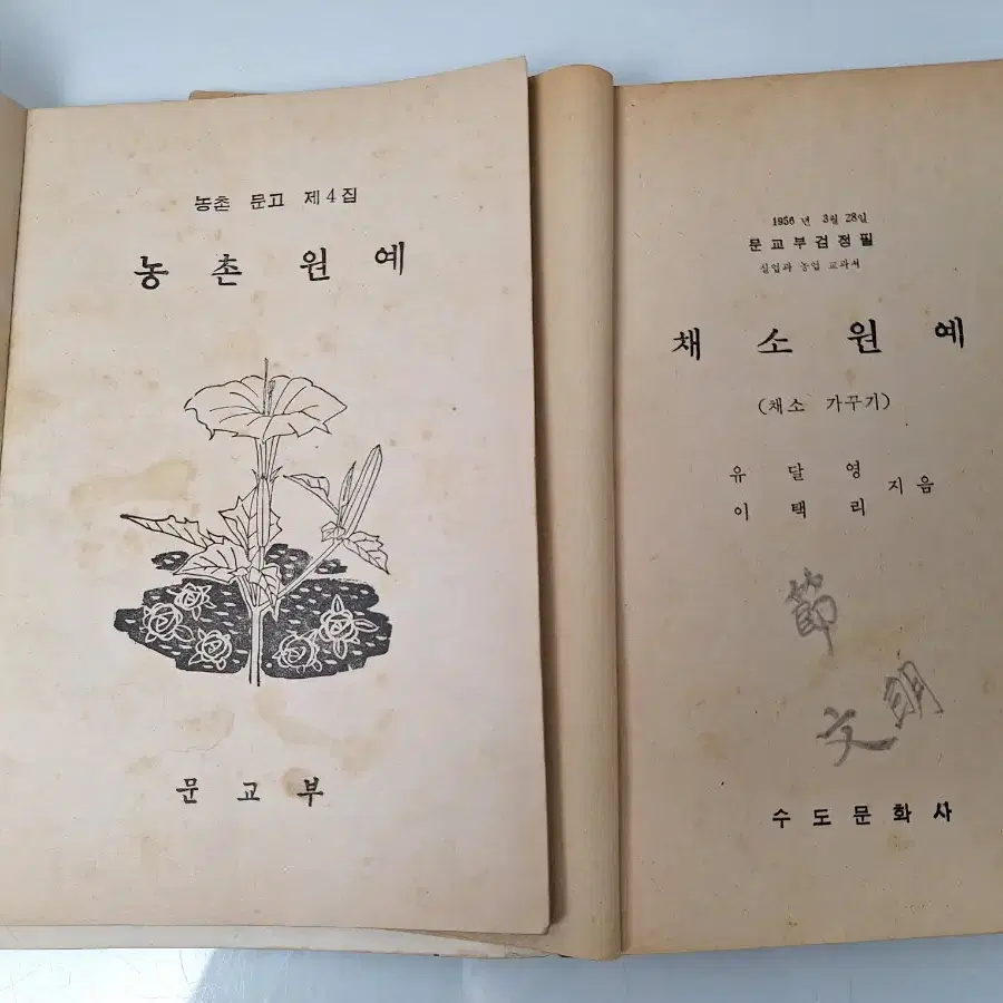 근대사 수집 자료 농업 채소 원예 과수 고서책 60년 5권