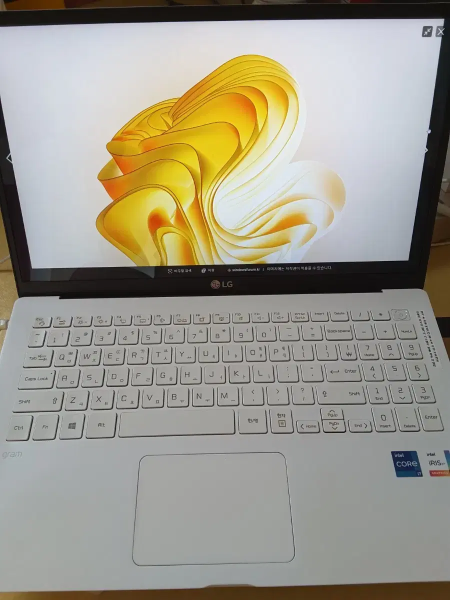 LG그램 i7-1165G7  15Z95N-GP7QL