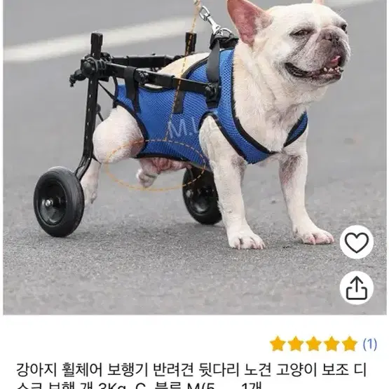 반려견 강아지 휠체어 보조기구 중형견