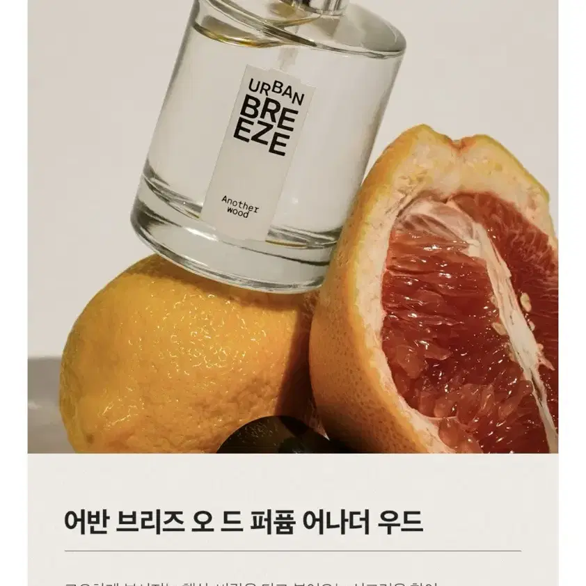 [새상품] 더샘 퍼퓸 어나더 우드 50ml (정가35,000원)