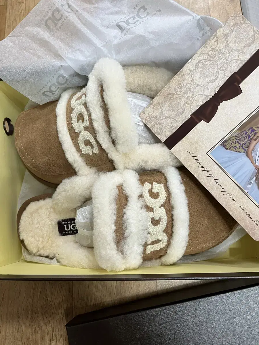 호주 UGG