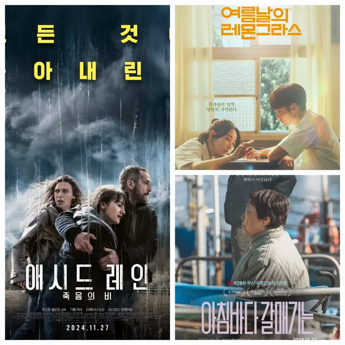 CGV 대리예매(애시드레인, 여름날의 레몬그라스,아침바다 갈매기는)