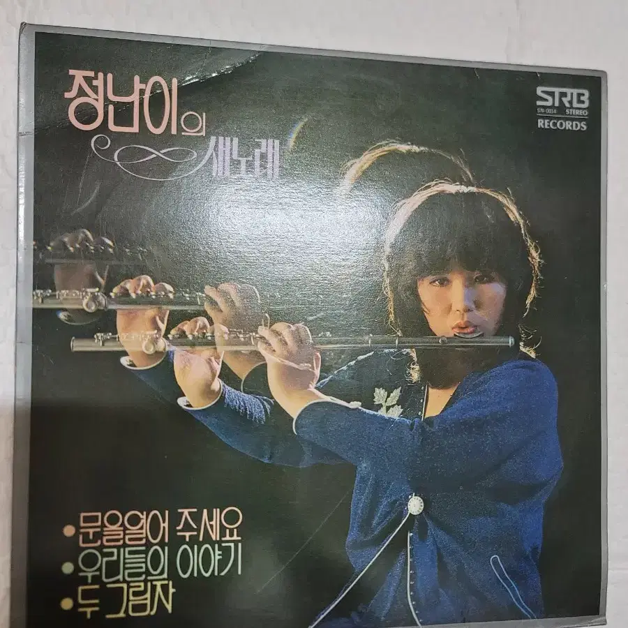 정난이의 새노래 lp 1981년