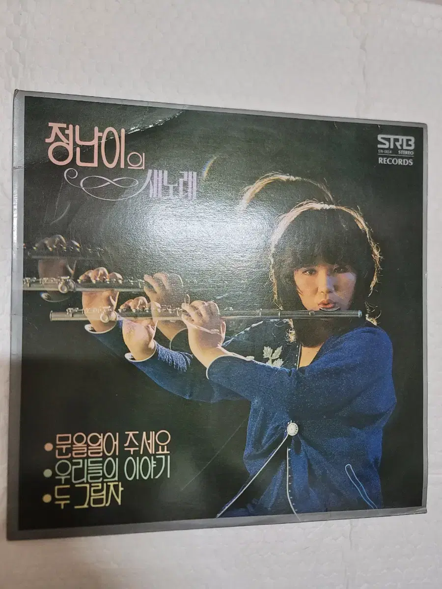 정난이의 새노래 lp 1981년