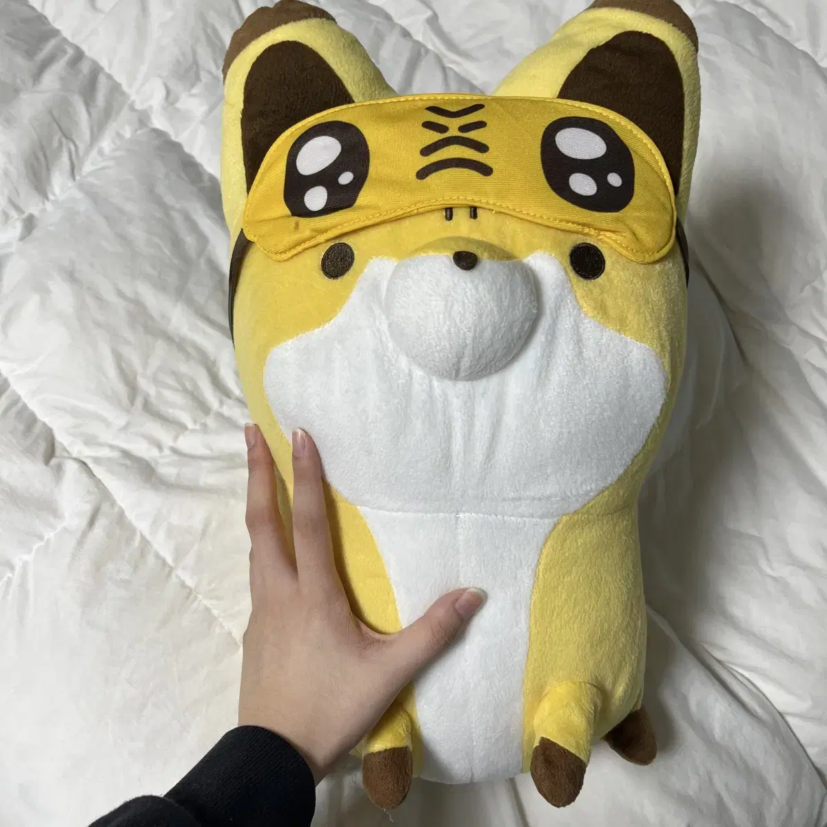 타누키토키츠네 너구리랑여우랑 누이 인형 40cm