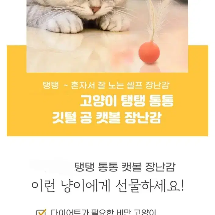 고양이 깃털 탱탱 공