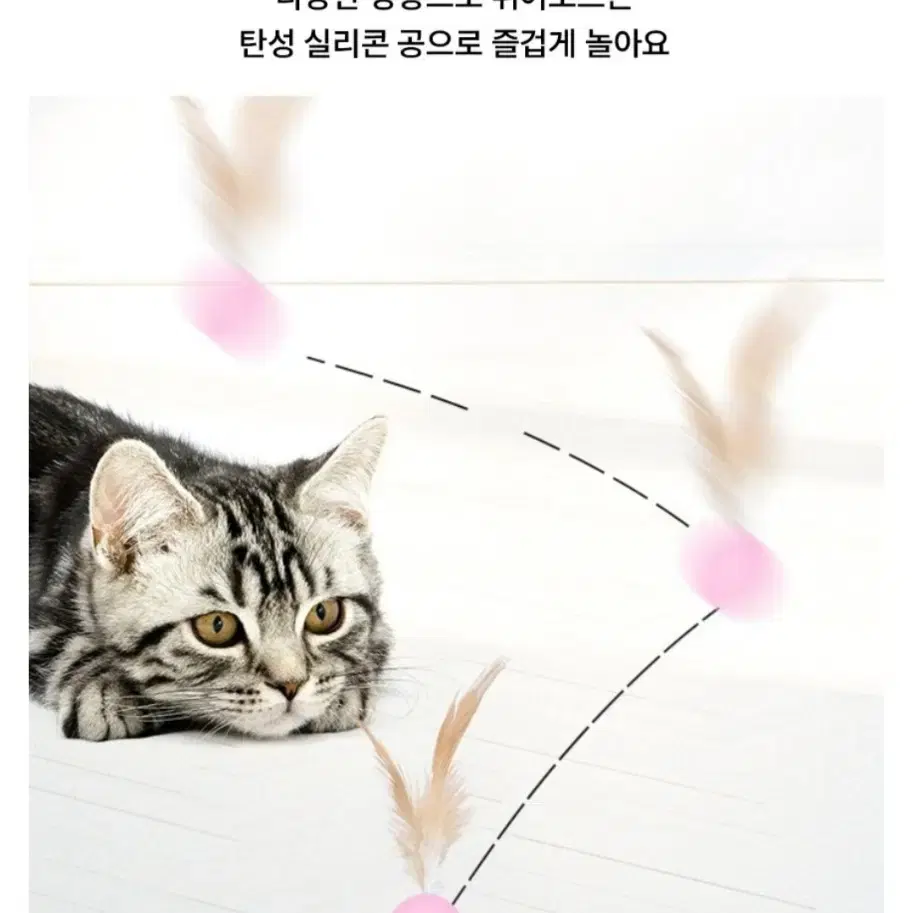 고양이 깃털 탱탱 공